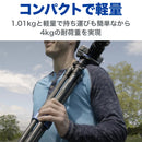 BENRO TSL08CN00 ベンロ スリム カーボンファイバー三脚 耐荷重4kg トラベル三脚 0型4段  国内正規品