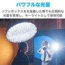 NANLITE FC-300B 撮影用ライト LEDスタジオライト バイカラー 350W 2700-6500K アプリ操作 ボーエンズマウント ケース付き 国内正規品