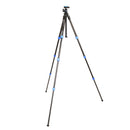 BENRO TSL08CN00 ベンロ スリム カーボンファイバー三脚 耐荷重4kg トラベル三脚 0型4段  国内正規品