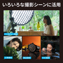 NANLITE FC-120B 撮影用ライト 出力145W 色温度2700-6500K CRI96 TLCI98 バイカラー LED 定常光 アプリ操作 FMマウント ケース付き 国内正規品