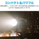 NANLITE Forza 60CR 撮影用ライト RGBLAC RGBライト LEDスポットライト フルカラー 国内正規品